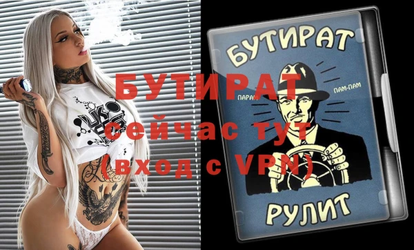 гидра Богородск