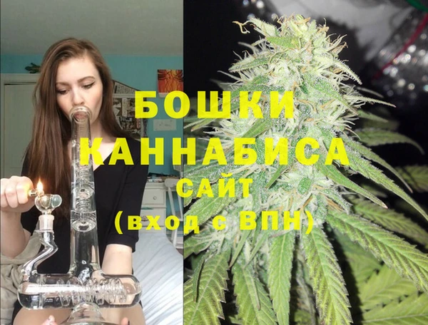 дживик Белокуриха