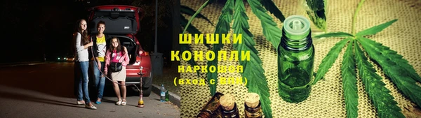 гидра Богородск